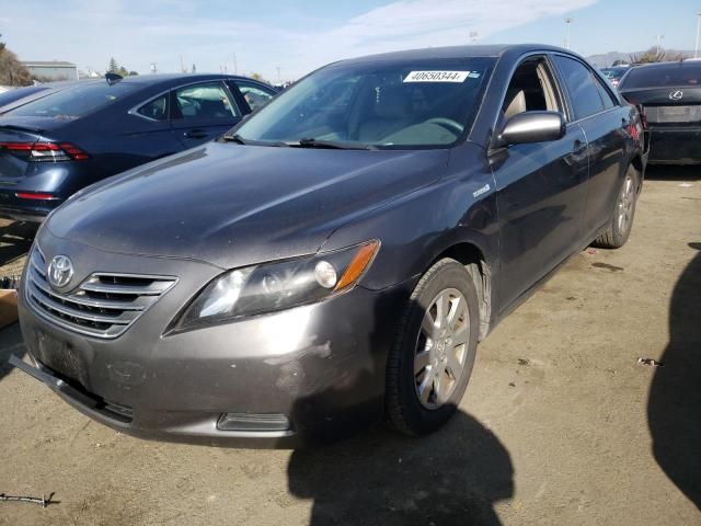 2007 Toyota Camry Hybrid