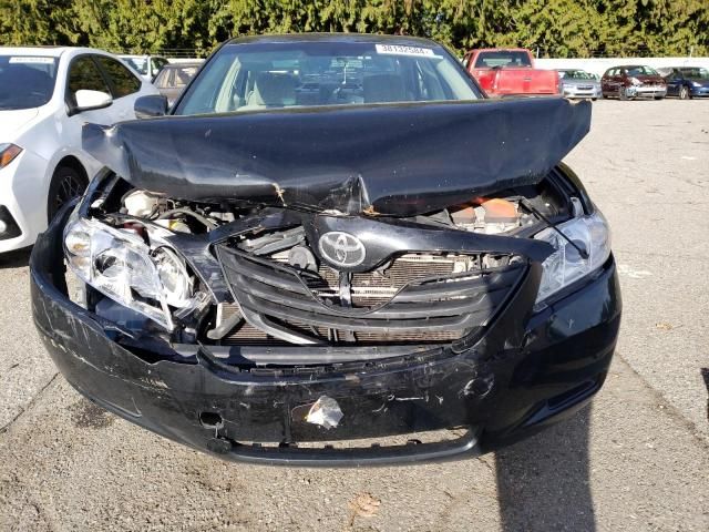 2009 Toyota Camry Hybrid