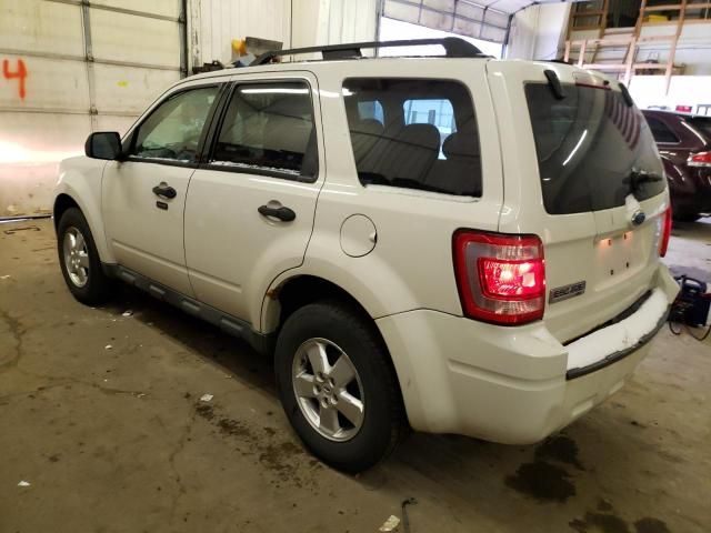 2009 Ford Escape XLT