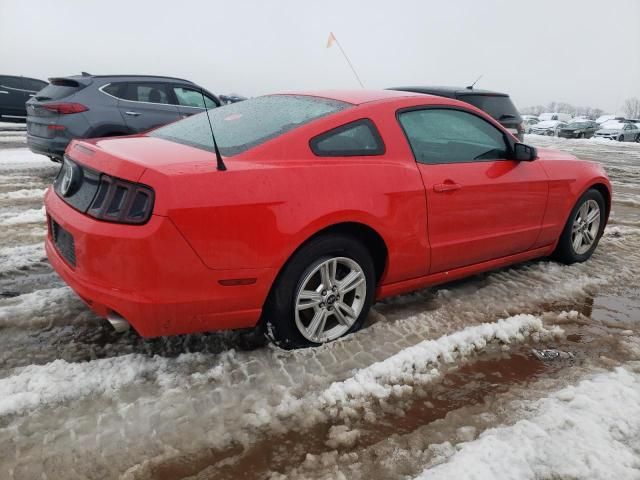 2014 Ford Mustang