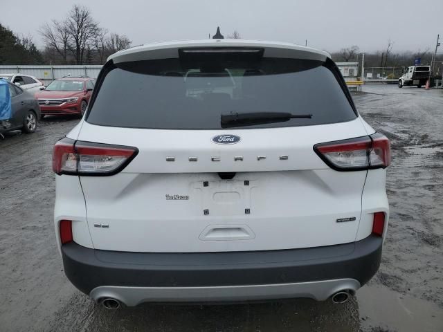 2022 Ford Escape SE