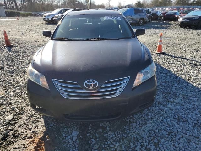 2009 Toyota Camry Hybrid