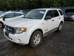 Salvage cars for sale from Copart Graham, WA: 2008 Ford Escape HEV