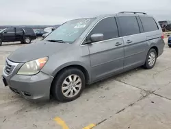 Salvage cars for sale from Copart Grand Prairie, TX: 2009 Honda Odyssey EXL