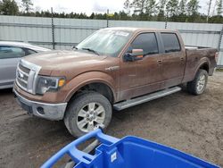 Salvage cars for sale from Copart Harleyville, SC: 2011 Ford F150 Supercrew