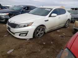 Salvage cars for sale from Copart Brighton, CO: 2014 KIA Optima LX