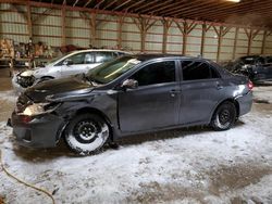 Vehiculos salvage en venta de Copart London, ON: 2013 Toyota Corolla Base