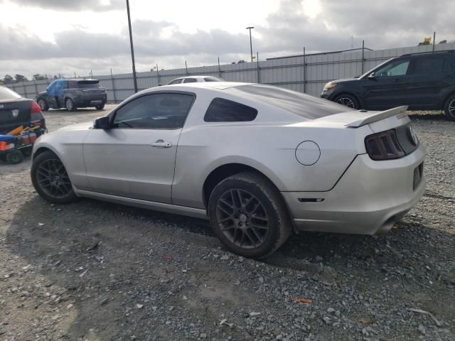 2013 Ford Mustang