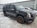 2012 Cadillac Escalade Hybrid