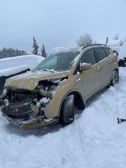Salvage cars for sale at Rocky View County, AB auction: 2014 Ford Escape SE