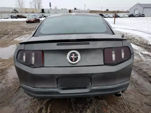 2010 Ford Mustang