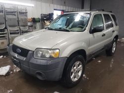 2006 Ford Escape XLT for sale in Elgin, IL