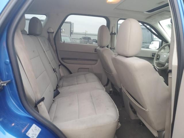 2008 Ford Escape XLT