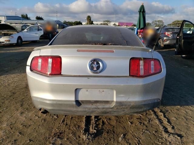 2010 Ford Mustang