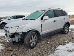 Chevrolet Captiva salvage cars for sale: 2012 Chevrolet Captiva Sport