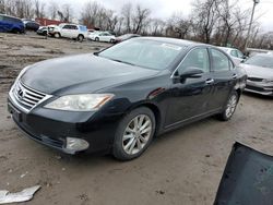 Lexus ES 350 Vehiculos salvage en venta: 2010 Lexus ES 350