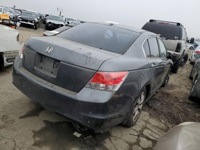 2010 Honda Accord EXL