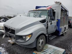 Salvage trucks for sale at Fredericksburg, VA auction: 2013 International Terrastar