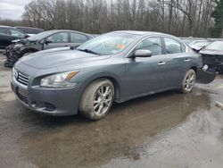 Salvage cars for sale at Glassboro, NJ auction: 2014 Nissan Maxima S