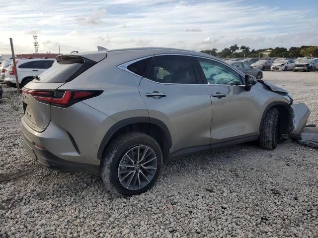 2023 Lexus NX 350