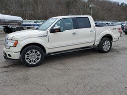 Ford salvage cars for sale: 2009 Ford F150 Supercrew