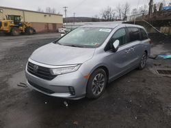 Vehiculos salvage en venta de Copart Marlboro, NY: 2021 Honda Odyssey EXL