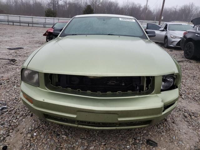 2005 Ford Mustang