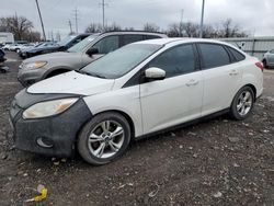 Ford Focus salvage cars for sale: 2014 Ford Focus SE