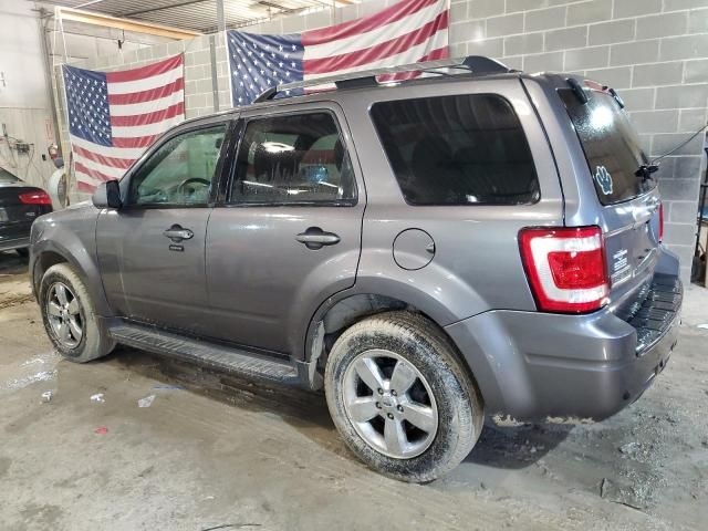 2010 Ford Escape Limited