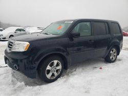 Honda Pilot salvage cars for sale: 2015 Honda Pilot EXL