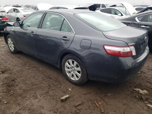 2009 Toyota Camry Hybrid