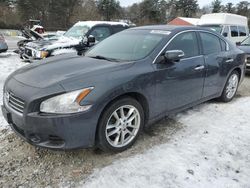 Nissan Maxima S salvage cars for sale: 2010 Nissan Maxima S