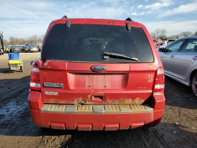 2010 Ford Escape XLT