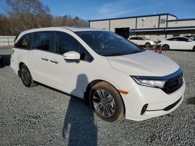 2024 Honda Odyssey EXL