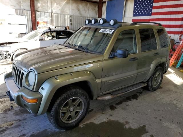 2002 Jeep Liberty Renegade