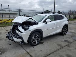 Lexus salvage cars for sale: 2019 Lexus NX 300 Base