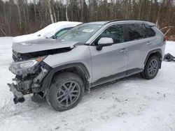 Toyota Rav4 salvage cars for sale: 2020 Toyota Rav4 XLE