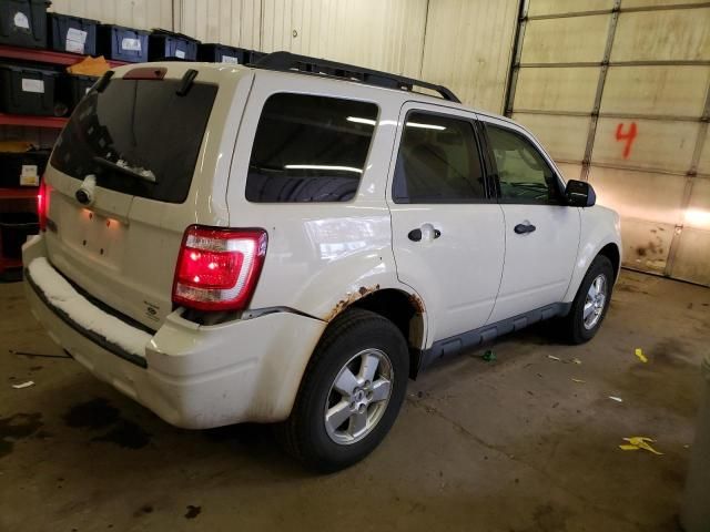 2009 Ford Escape XLT