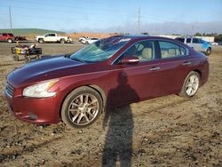 Salvage cars for sale at Tifton, GA auction: 2011 Nissan Maxima S