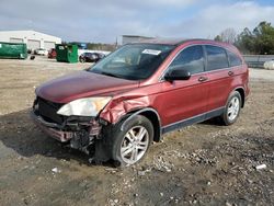 Salvage cars for sale at Memphis, TN auction: 2010 Honda CR-V EX