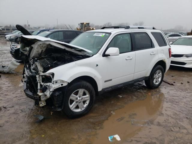 2008 Ford Escape HEV