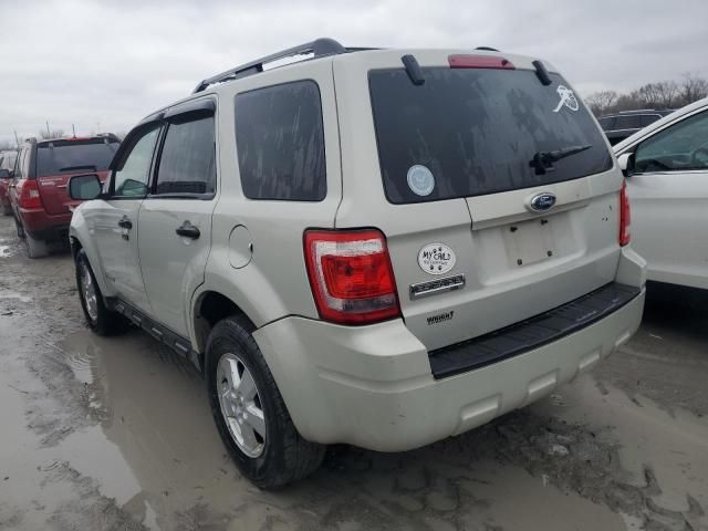 2008 Ford Escape XLT