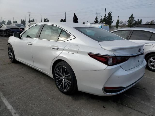 2023 Lexus ES 300H Base