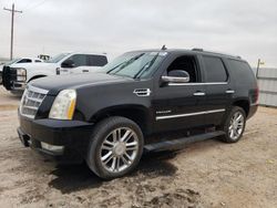 Salvage cars for sale from Copart Andrews, TX: 2011 Cadillac Escalade Platinum