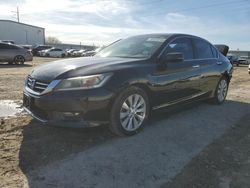 Salvage cars for sale from Copart Temple, TX: 2015 Honda Accord EXL