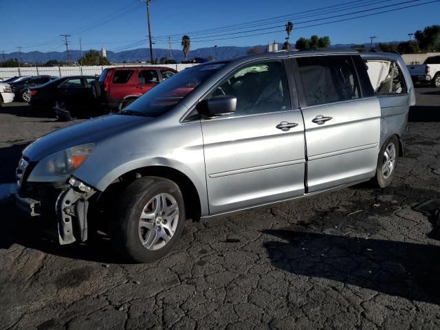 2005 Honda Odyssey EXL