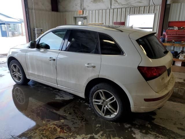 2014 Audi Q5 TDI Premium Plus