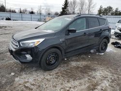 Ford salvage cars for sale: 2018 Ford Escape SE