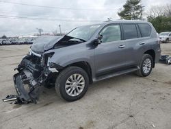 Salvage Cars with No Bids Yet For Sale at auction: 2023 Lexus GX 460