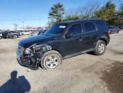 Salvage cars for sale from Copart Lexington, KY: 2011 Ford Escape Limited